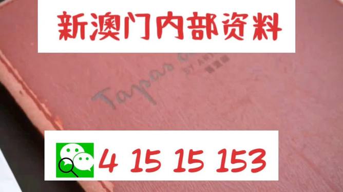 新澳门全年免费料精准-实证释义、解释与落实