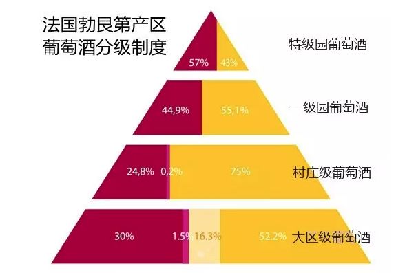 2025年澳门特马今晚-深度解答解释落实