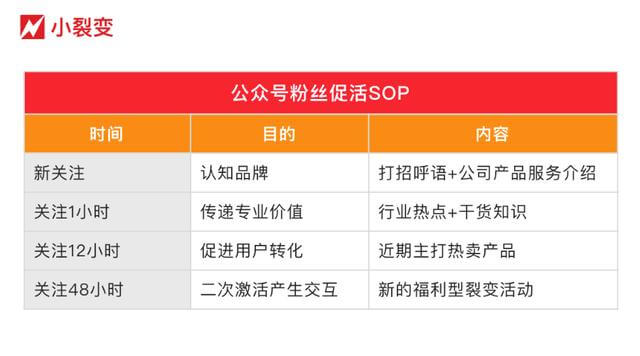 精准解析新门内部资料;-从精选到落实的全面指南